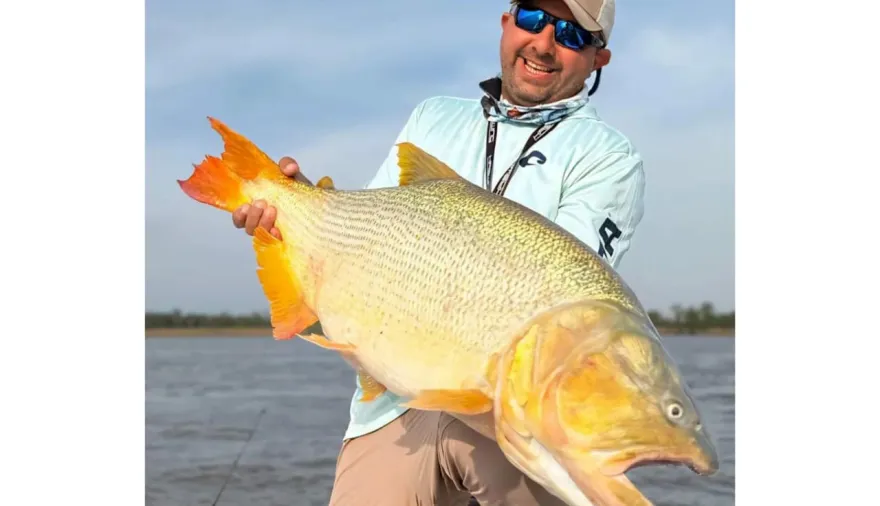 Un gigante del Paraná: Pescadores de Buenos Aires capturan un dorado monumental en Esquina