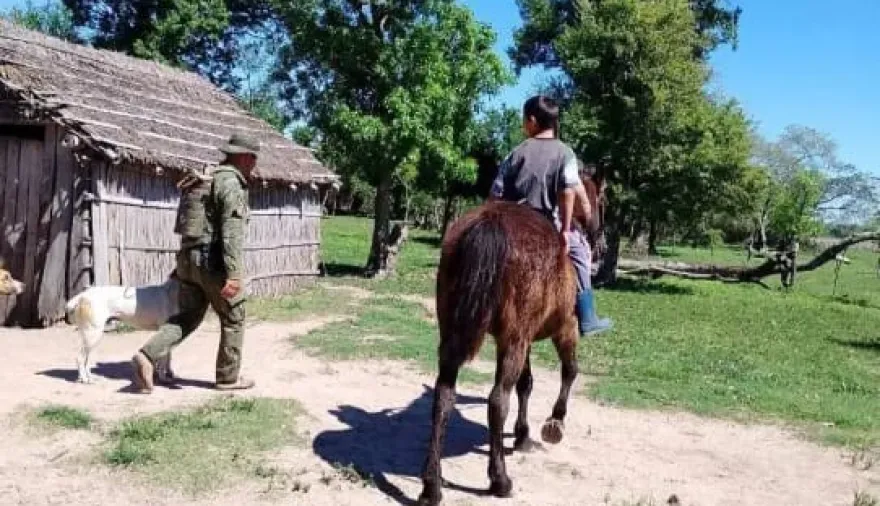 Corrientes: estancia donó caballos para que alumnos puedan llegar a la escuela