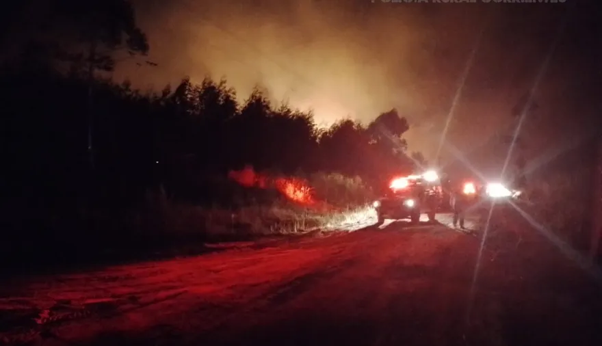 Incendio forestal en Monte Caseros: intervención de Bomberos y Policía Rural