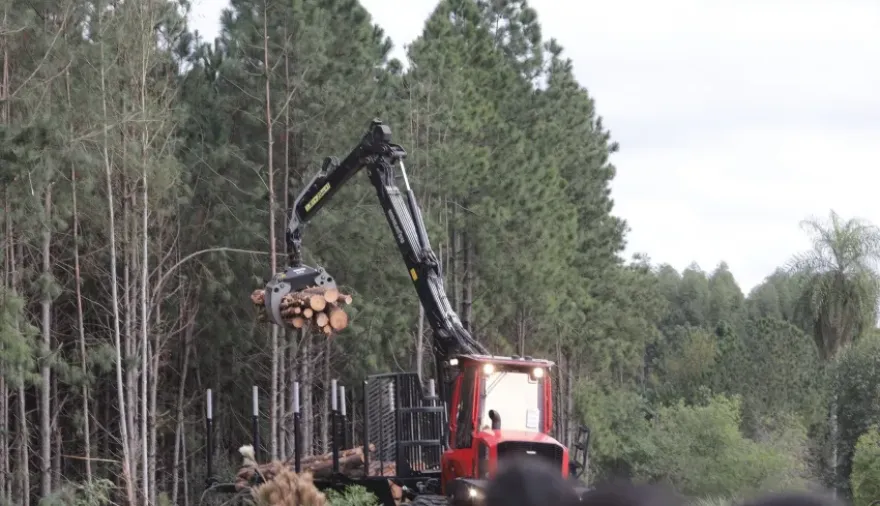 Entidades del sector forestal celebraron la mega empresa que se instalará en Corrientes