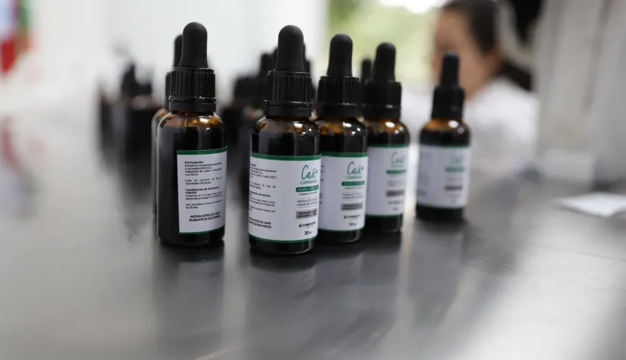 Valdés habilita la comercialización en farmacias del aceite medicinal de Caá Cannabis