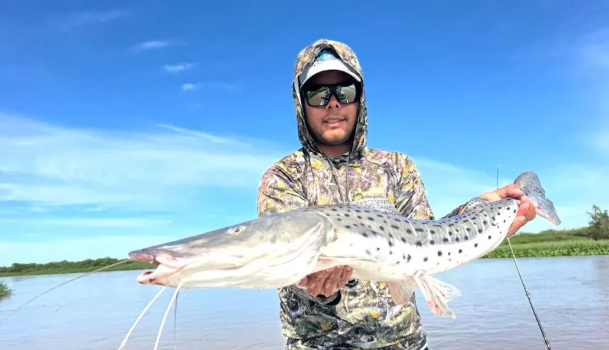 Corrientes prohibió la pesca en un sector del Paraná para proteger una concentración de surubíes