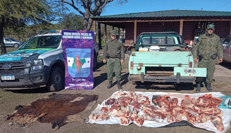 Del doble fondo con carne robada al hallazgo de 22 animales: la investigación que golpeó a una organización cuatrera