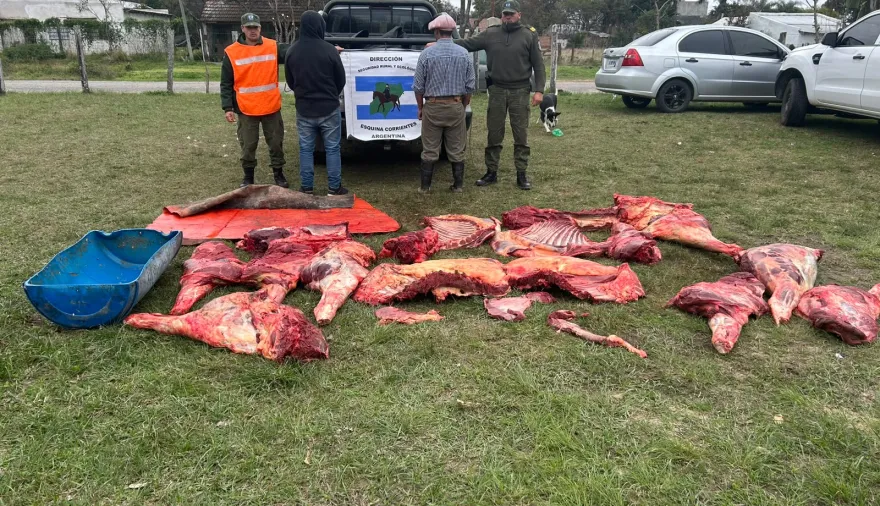 Secuestran 450 kilos de carne clandestina, una camioneta y detienen a dos hombres