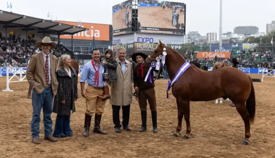 Exposición Rural de Palermo: Un ejemplar criado en Mburucuyá fue distinguido entre los mejores Cuarto de Milla del país