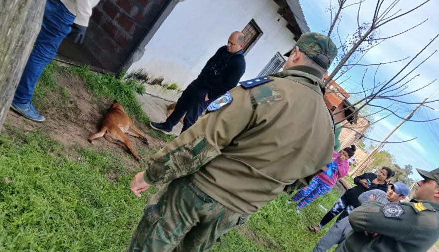 Esquina: Mató a balazos a un perro: la Policía Rural allanó su casa y lo metió preso