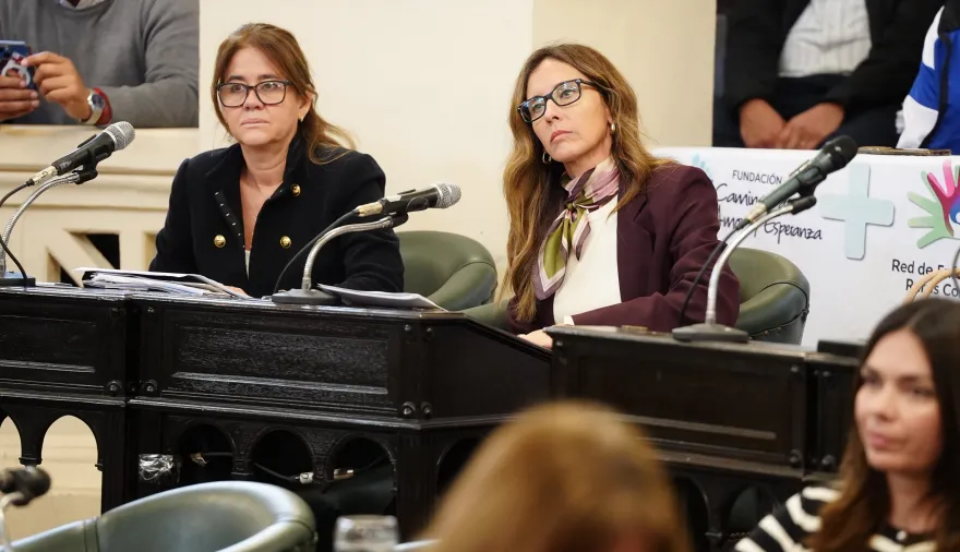 La Cámara de Diputados de Corrientes aprobó el proyecto de Brambilla para prevenir suicidios en el Puente General Belgrano