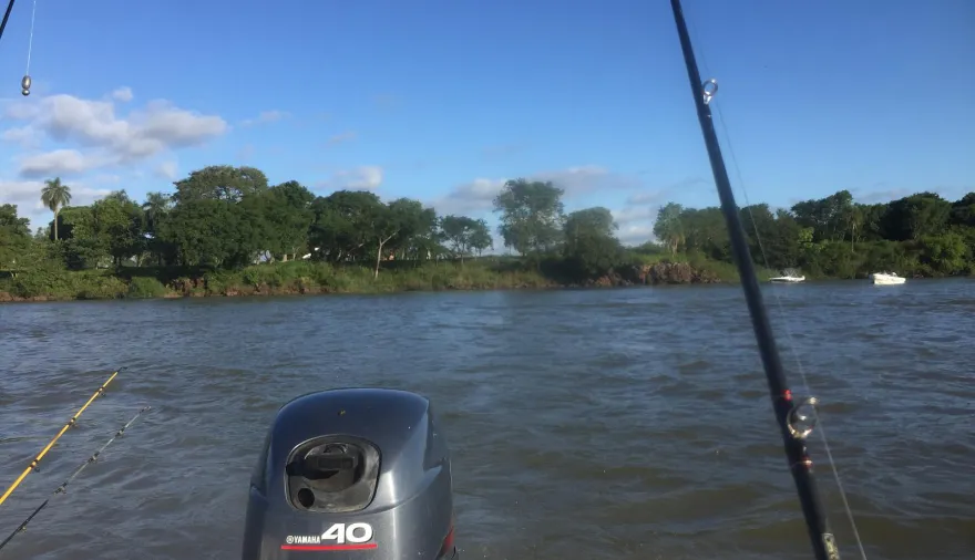 Alerta en el Paraná: Corrientes impuso una veda extraordinaria para proteger al dorado