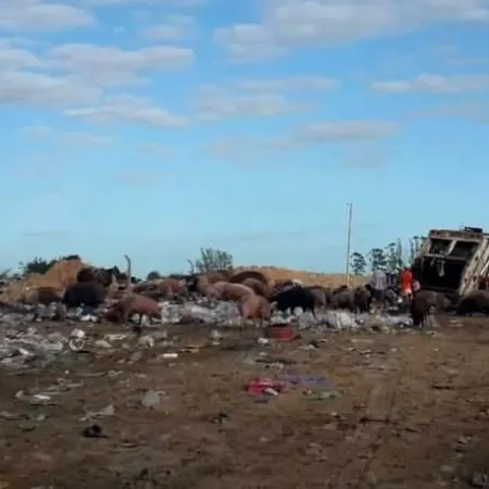 Clausuran un basural en Esquina por representar un riesgo ambiental y sanitario