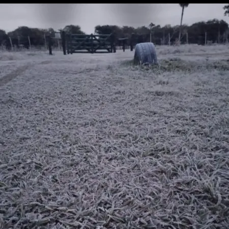 Amanecer helado: temperaturas inferiores a 4 grados bajo cero en Esquina