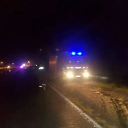 Caballo muerto tras colisión con auto en la Ruta 12 de Esquina