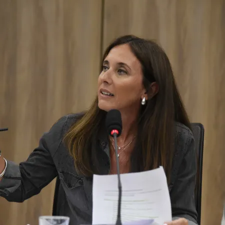 Brambilla propone crear un Plan Nacional de Formación en Cuidados Paliativos