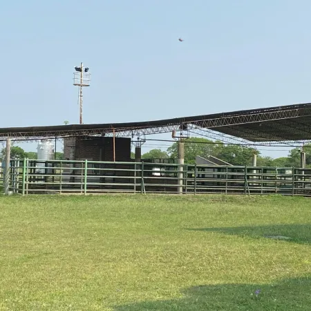 Frigorífico Goya: Crecimiento del 60% en faena bovino lo posiciona como el segundo en Corrientes