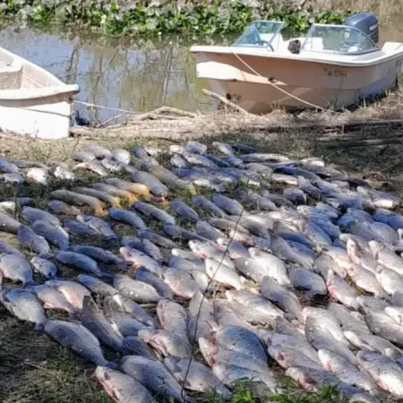 Esquina: Incautan más de 300 piezas de pescado en un campamento ilegal