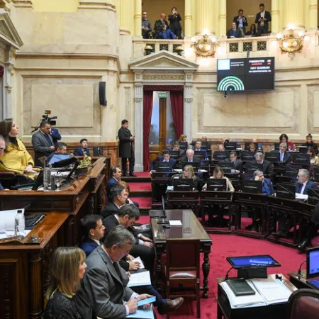 El Senado rechazó el veto de Javier Milei a los ATN por 59 votos a 9
