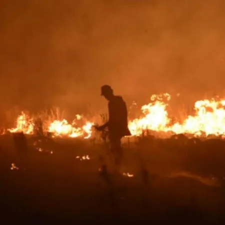 El Gobierno anunció la firma de un decreto para declarar la Emergencia Ígnea en cuatro provincias