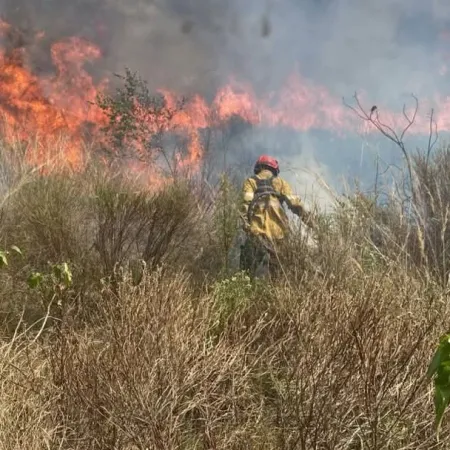 Once localidades están en nivel extremo de riesgo de incendios por el calor