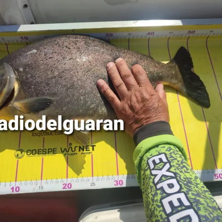 Delfabro aclaró la situación de la pieza mayor y habló de un error humano en la fiscalización