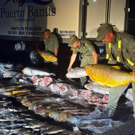 Ituzaingó: Secuestran más de 700 kilos de pescado, incluyendo dorados y surubíes