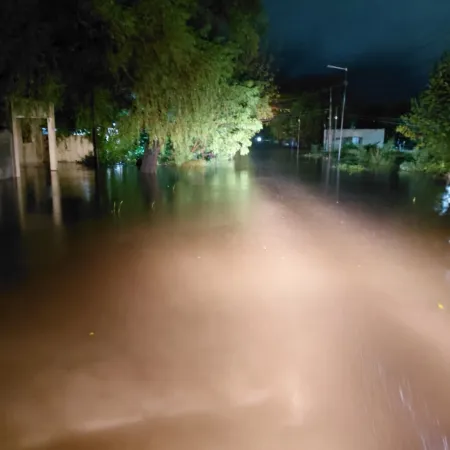 Esquina declaró la emergencia integral por 60 días tras el fuerte impacto del temporal