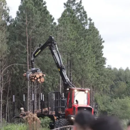 Entidades del sector forestal celebraron la mega empresa que se instalará en Corrientes
