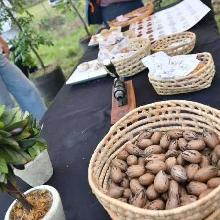 Corrientes ya exporta nuez pecan a Emiratos Árabes, Europa y China