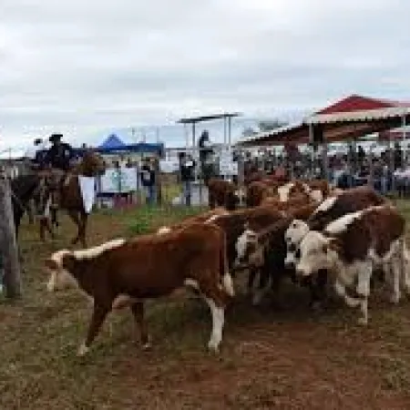 Remate ganadero en Esquina con apoyo a pequeños productores