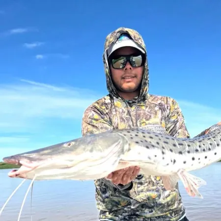 Corrientes prohibió la pesca en un sector del Paraná para proteger una concentración de surubíes