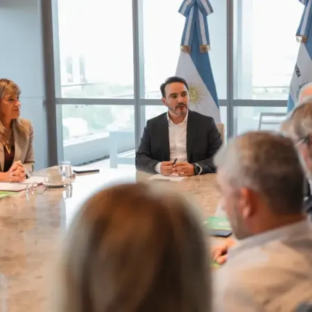 Corrientes avanzará con proyectos de exploración de tierras raras en el sur provincial
