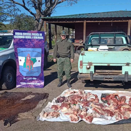 Del doble fondo con carne robada al hallazgo de 22 animales: la investigación que golpeó a una organización cuatrera