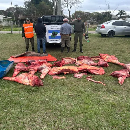 Secuestran 450 kilos de carne clandestina, una camioneta y detienen a dos hombres