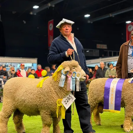Orgullo correntino: "Yiyí", el carnero de La Cruz que se consagró Gran Campeón en la Expo Rural de Palermo