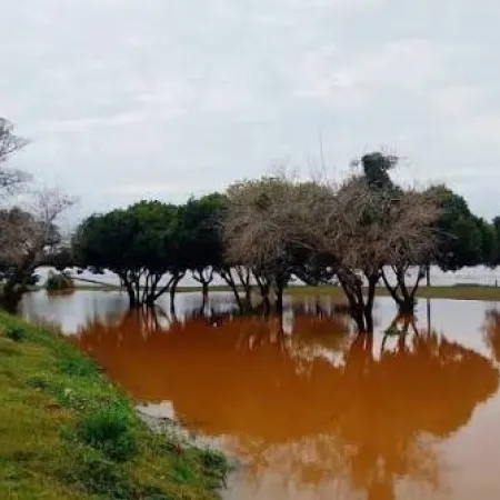 Crece la preocupación por el río Uruguay: Santo Tomé activó un operativo de alerta