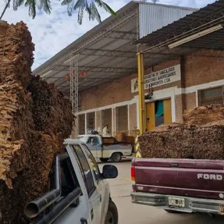 Goya: Productores de tabaco recibirán pago de sobreprecio por acopio