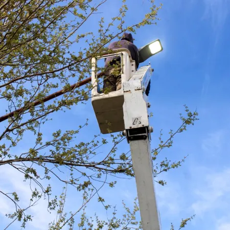 La Municipalidad de Esquina, mediante un convenio con la DPEC, renueva la iluminación de los accesos a la ciudad