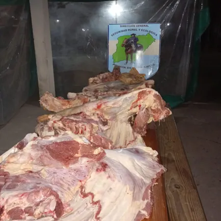Llevaban una vaca completa tapada con una frazada