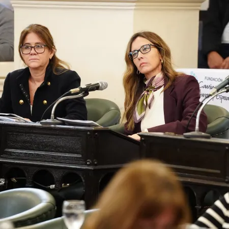 La Cámara de Diputados de Corrientes aprobó el proyecto de Brambilla para prevenir suicidios en el Puente General Belgrano