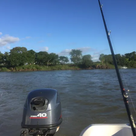 Alerta en el Paraná: Corrientes impuso una veda extraordinaria para proteger al dorado