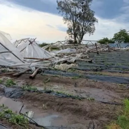 Un fuerte temporal provocó destrozos en Lavalle y afectó a productores